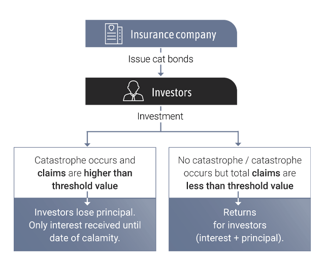 lcp-graphic